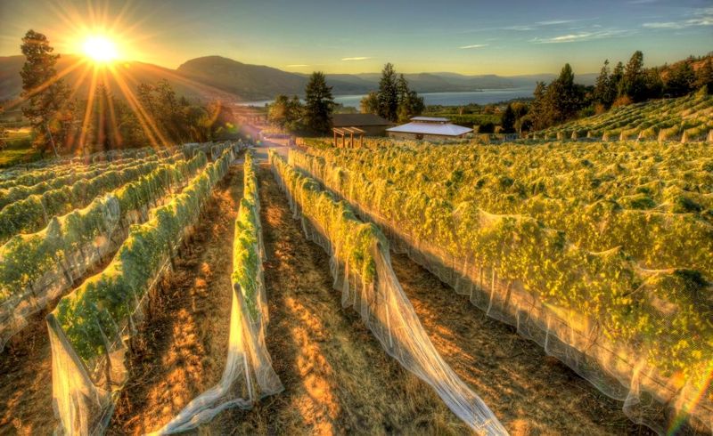 La Frenz Winery